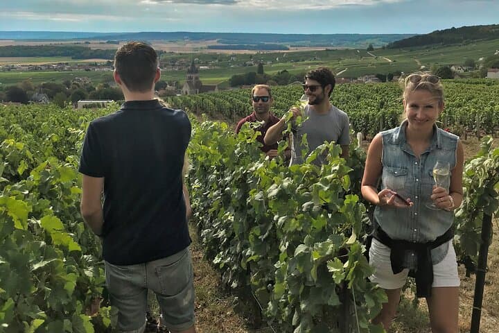 Enjoy a flute of Champagne in the heart of our vineyard