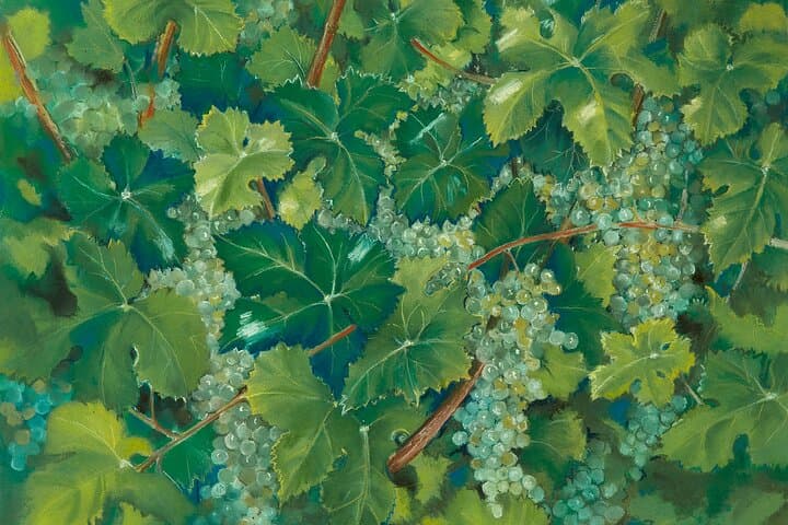 Vines, pastel
