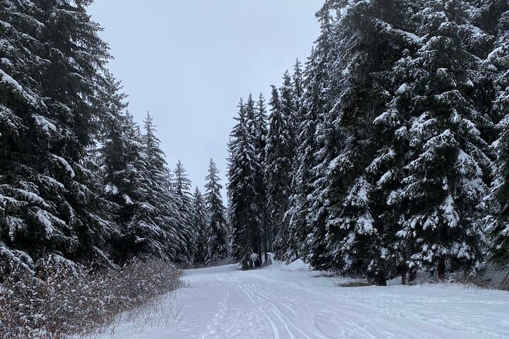 Luxury Private Concierge - Bespoke Courchevel Experience