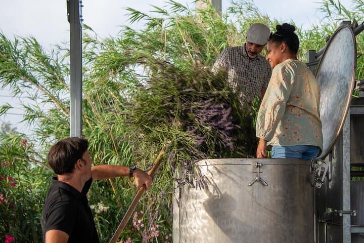 Load the lavenders into the still with us
