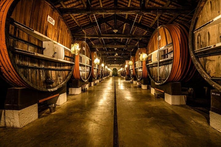 MARSEILLAN : Maison Noilly Prat, cellars visit and tasting FRENCH