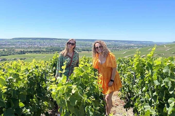 Unesco Champagne Experience from Reims (Private full day tour)