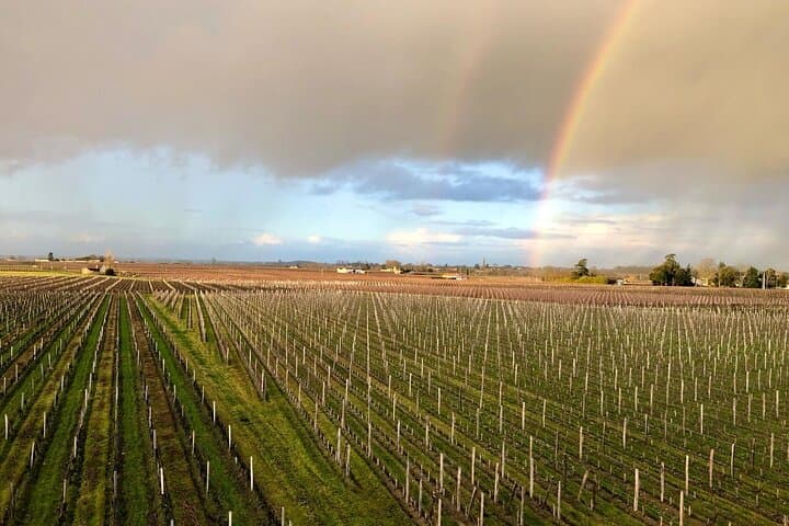 Visit of the Vineyards Saint Emilion and Medoc Day
