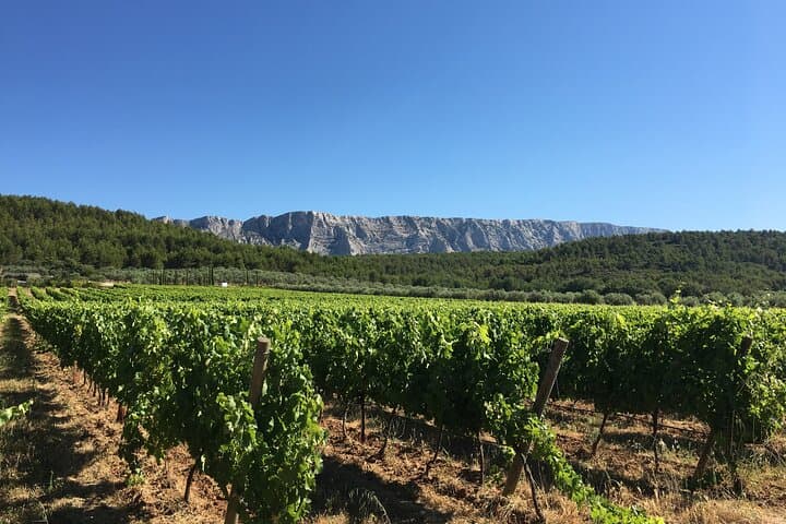 Half Day Wine Tour around Sainte Victoire from Aix en Provence