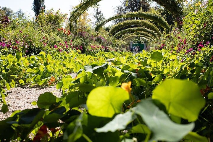 Private day trip from Paris to Giverny with a local driver