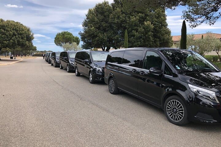 Private Tour from Marseille Cruise Port or Hotel with Luxury Van