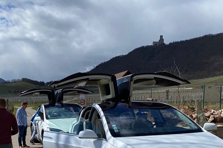 "Le petit Alsacien" Luxury Tour Local private friendly driver