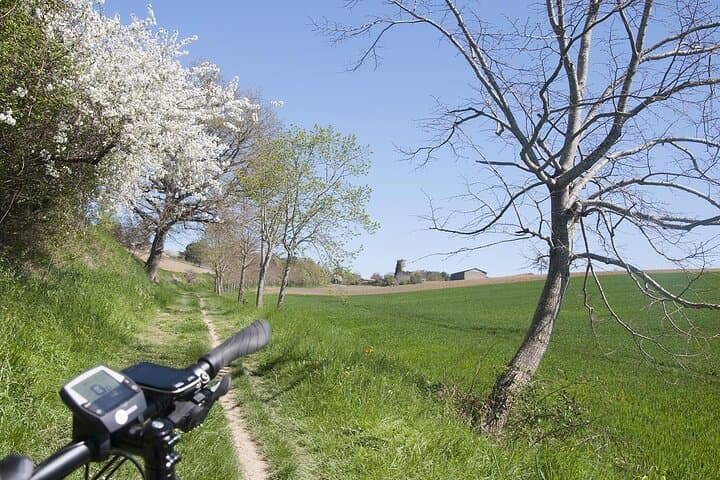 Scenic E-Bike Ride to a Hilltop Village from Toulouse