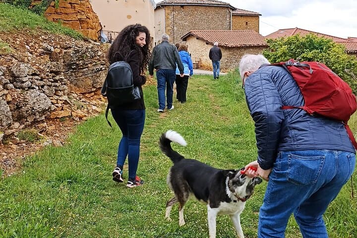 Beaujolais Day Guided Tour - Winery Tours and Tastings