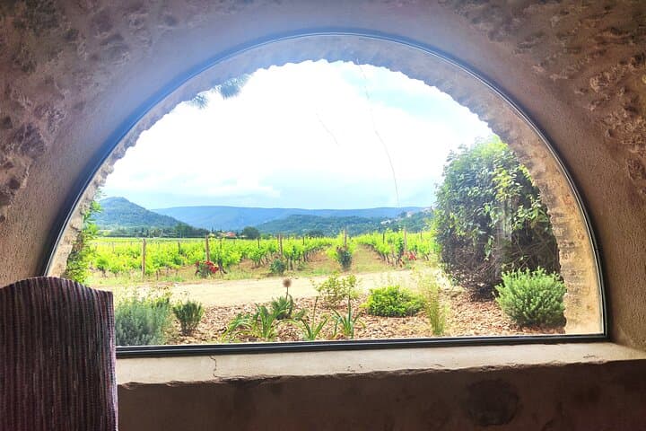 View of a Luberon vineyard in Ménerbes
