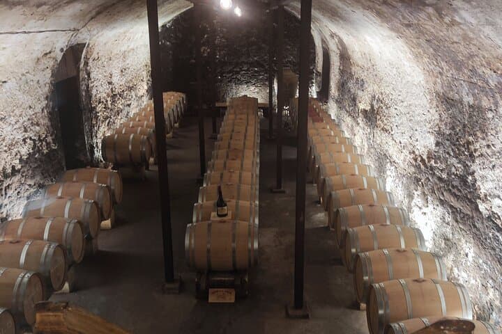 Visit to a cellar in Provence