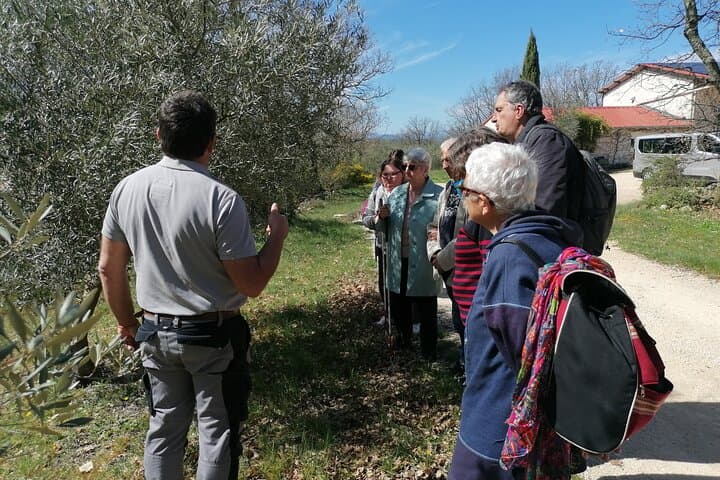 Food Tour in the Southern French Countryside from Nîmes