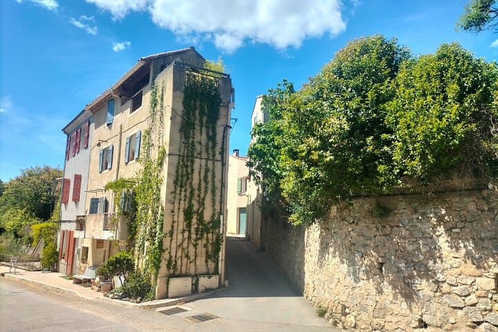 Aix Signature Wine Tour by Tom: Vineyard Visit, Picnic & Pétanque
