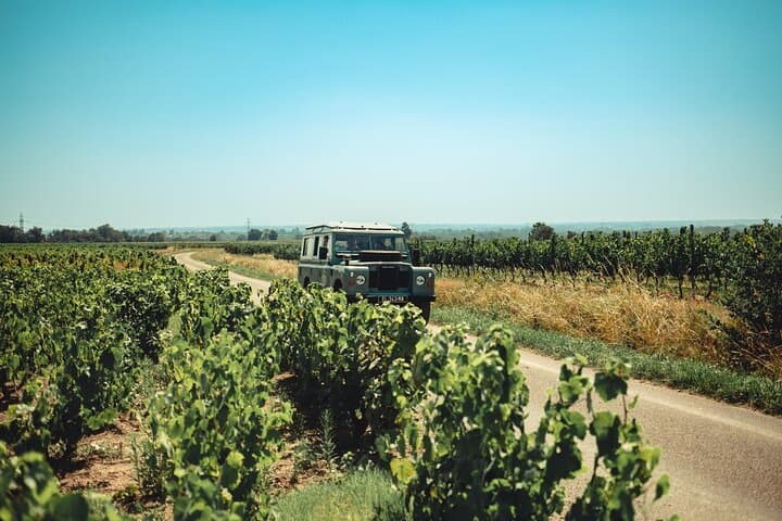 Private Half Day Wine Tour from Lyon in Beaujolais