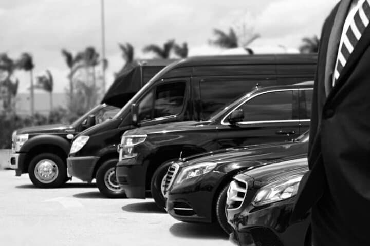 French Riviera Full or Half Day Private Tour