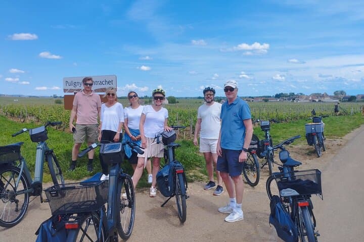 From Dijon or Beaune: E-Bike Burgundy day tour, tastings & lunch