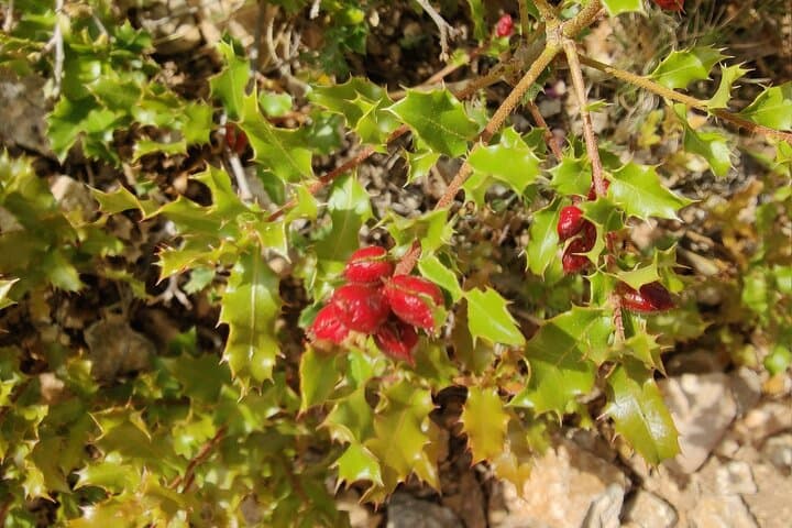 Hiking and Yoga in the Calanque of Sormiou