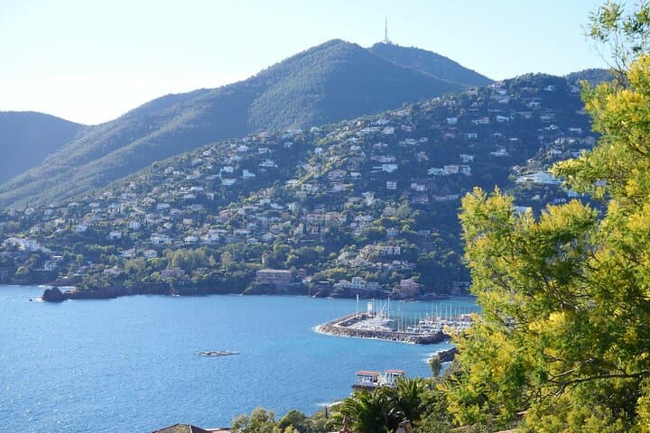 Private Tour from Saint-Tropez to the flowers city