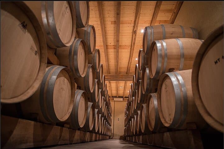 Visit and tasting near Saint-Émilion