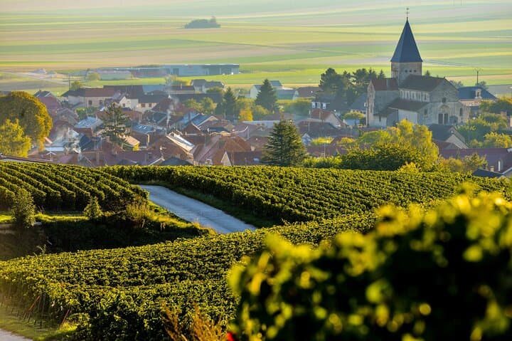 Transfer Paris/CDG/ORLY to Reims/Champagne, fluent English driver