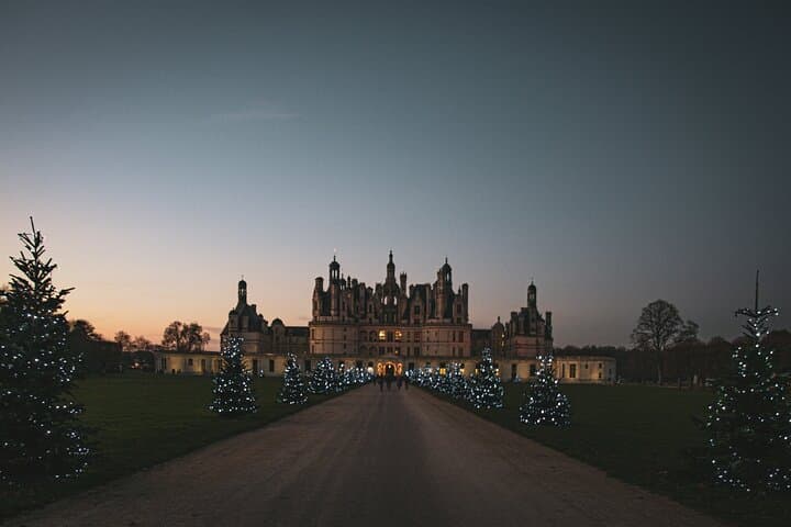 Private Day Tour in Chambord Chenonceaux and Amboise from Paris