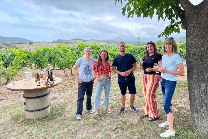 Corsican Wine tasting & Picnic in Saint Florent