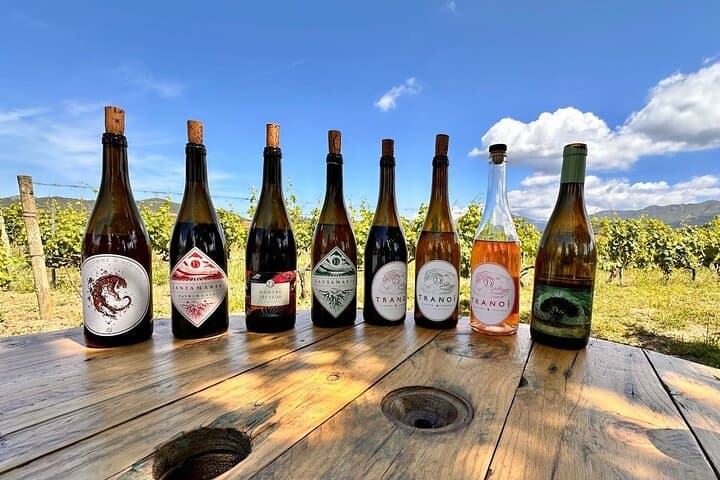 Corsican Wine tasting & Picnic in Saint Florent