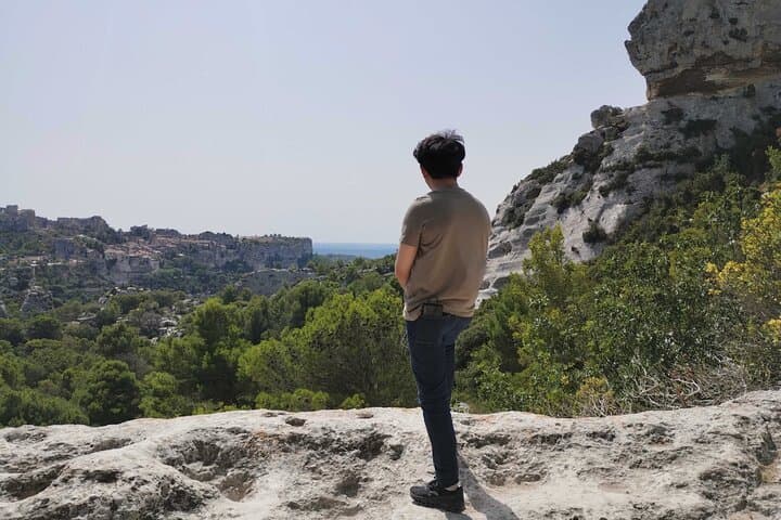 Private Guided Tour of Saint-Remy, Arles, and Les Baux