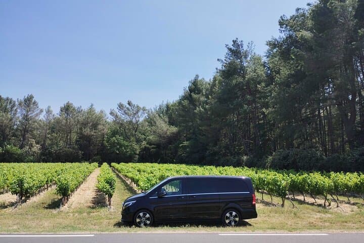 Private Guided Tour of Saint-Remy, Arles, and Les Baux
