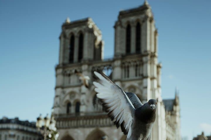Private 3 Hour Walking Tour in Paris