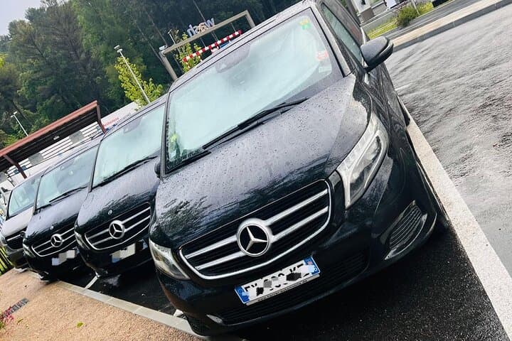 Lyon to Zermatt (Tasch) One-Way Private Transfer
