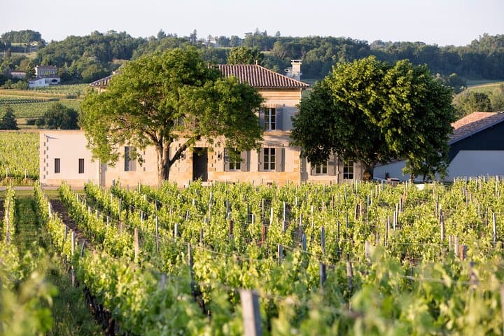 Chateau in Saint-Emilion