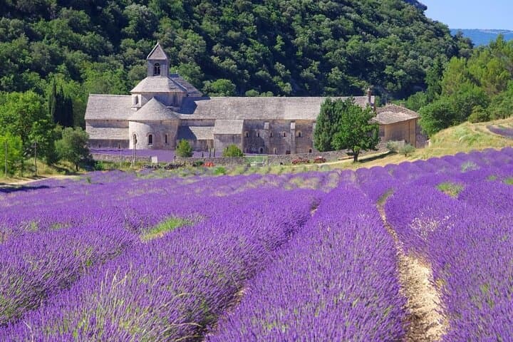 Abbaye de Sénanque