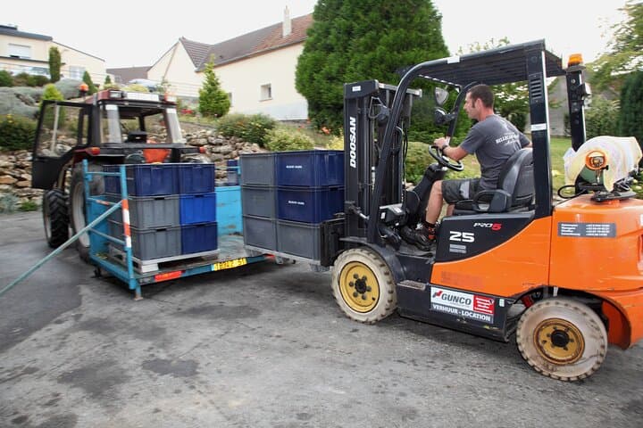 Full day of 8 hours harvest in Epernay