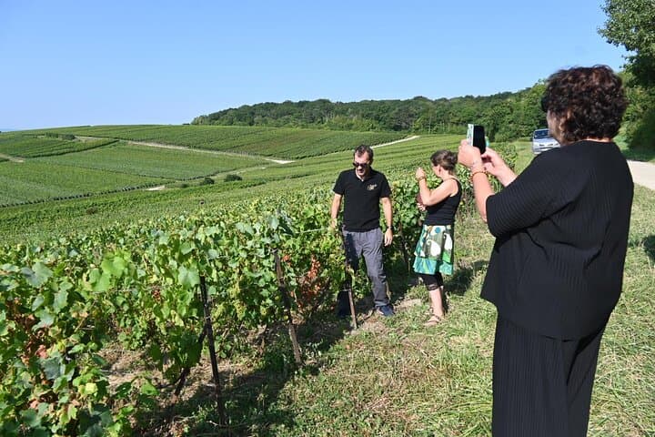 walk in the vineyard