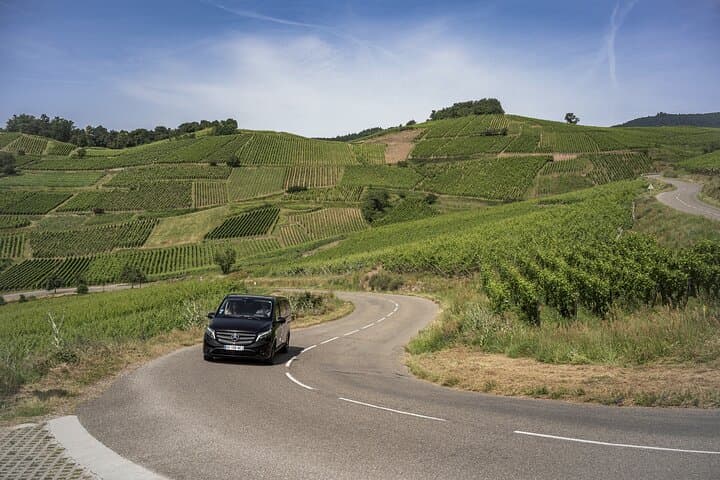 Private Discovery Alsace Wine Tour from Strasbourg and area