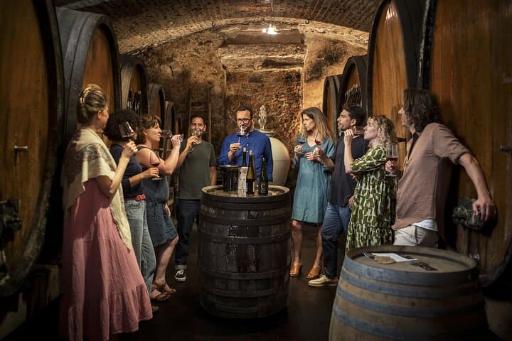 Private Discovery Alsace Wine Tour from Strasbourg and area