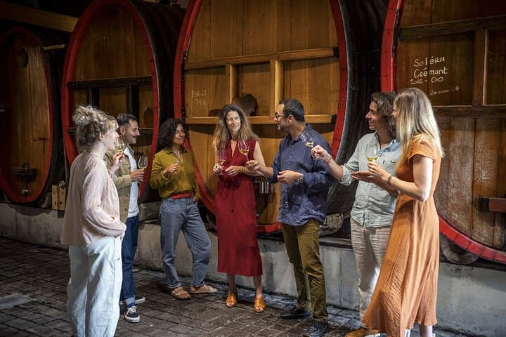 Private Discovery Alsace Wine Tour from Strasbourg and area