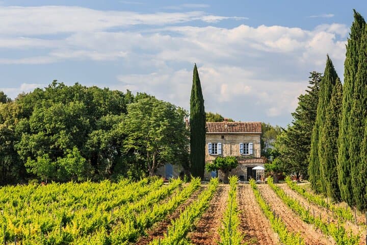 Private Provence Getaway and Wine Tasting from Toulon cruise port