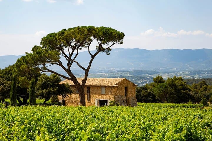 Private Provence Getaway and Wine Tasting from Toulon cruise port