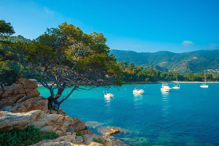 Private Provence Getaway and Wine Tasting from Toulon cruise port