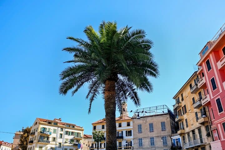Explore Antibes in 60 minutes with a Local