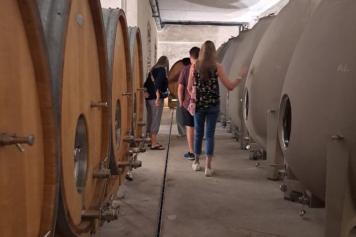 Half-day guided tour on the Burgundy wine Route in a classic car