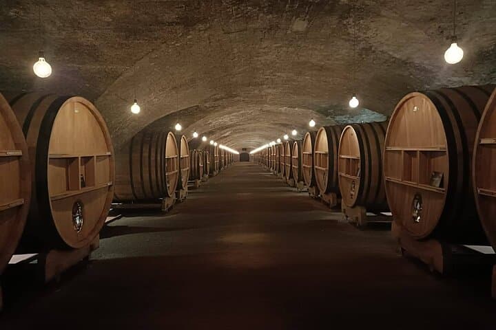 Cellar
