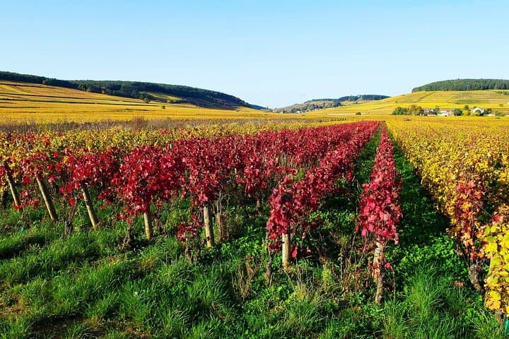 Landscape