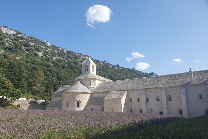 Lavender Tour Sault from Marseille