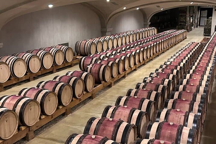 Cellar