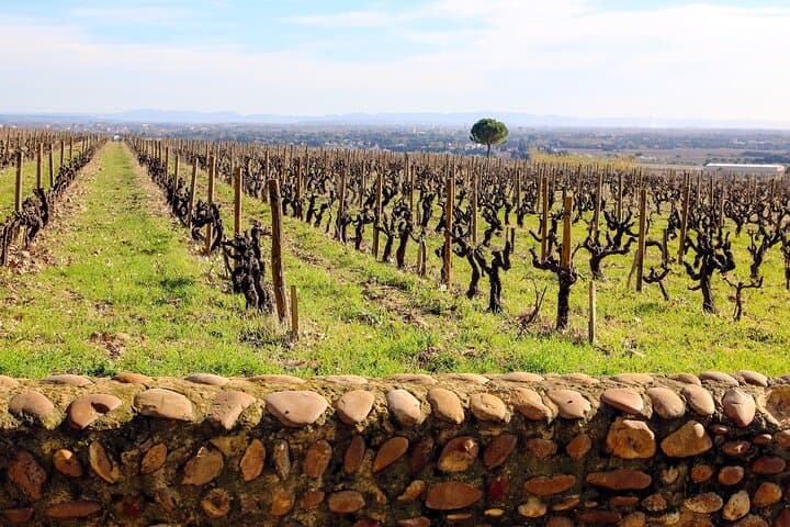 Two intensive days visiting the most famous vineyards of the Châteauneuf-du-Pape & Rhône valley appellation with lunch at two local restaurants with wine paring.