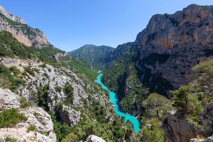 The Lavender of Provence Tour: 8-Hour Shore Excursion