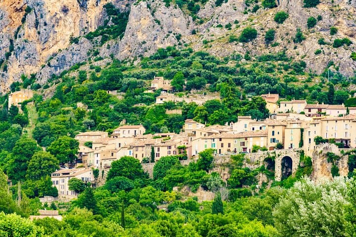 The Lavender of Provence Tour: 8-Hour Shore Excursion